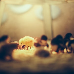 IT: Decouple Marketing Content and Business Information image